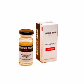 Testosterone E – American Brand