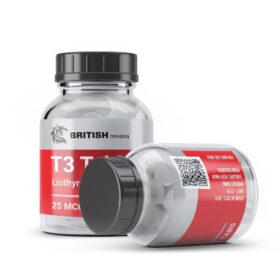 T3 – British Dragon Pharmaceuticals (INT)