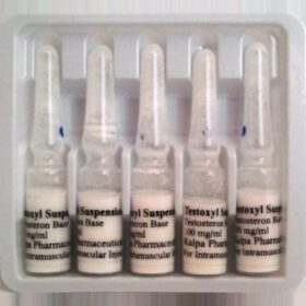 Testoxyl Suspension 100 – Kalpa Pharmaceuticals (INT)